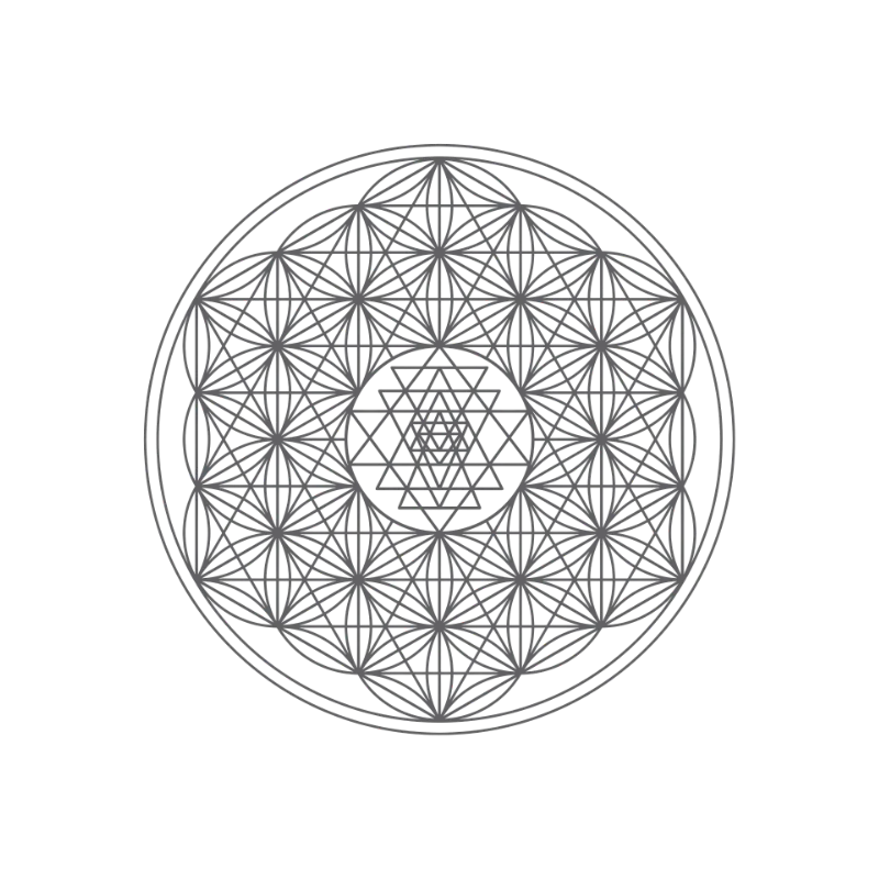 A collection of yantras arranged in a circular pattern, each with intricate geometric designs and Sanskrit inscriptions